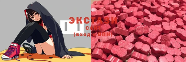 ECSTASY Белокуриха